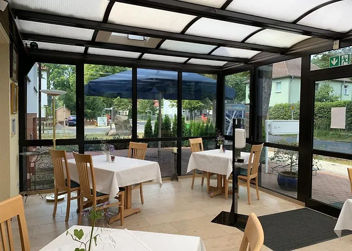 Blaufuchs * Petershagen-Eggersdorf